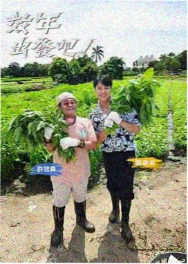 深夜食光海报